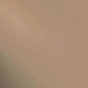 Oceanside Smooth Transparents: Bronze T