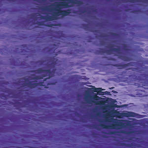 Waterglass Grape T