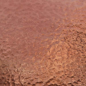 Light-Medium Purple Corella Classic T