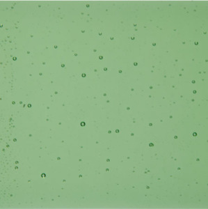 Best Selling: Leaf Green T