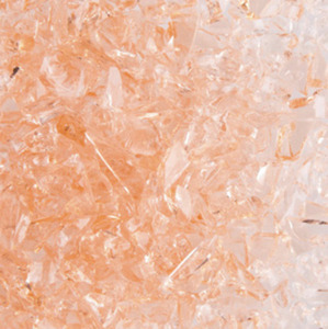 Champagne Frit