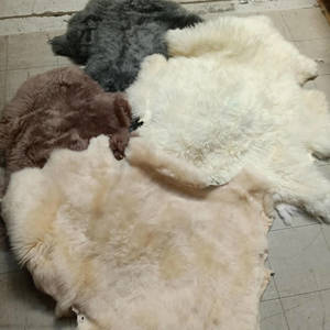 Products: M7 - Below Grade Pelts - Bowron Sheepskin Tannery & Factory