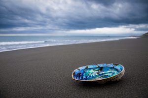 Ocean Beach