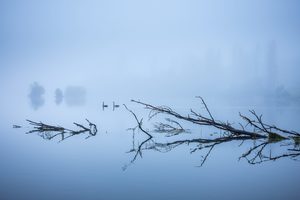 Lake Karapiro