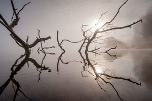 Lake Tutira