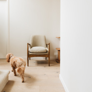 Lounge Chairs: Steiner Armchair Canvas