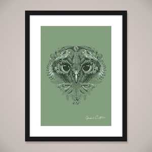 Wall Art: Nature Owl Wall Art