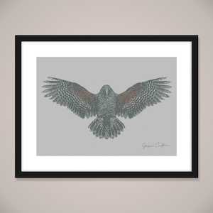 Wall Art: Kea Wall Art