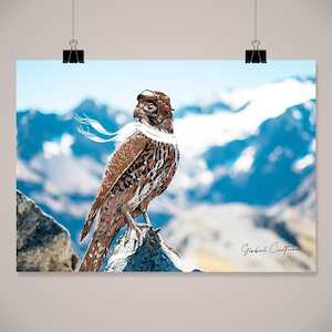 Wall Art Birds Animals: Karearea Scenic Wall Art