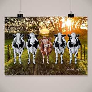 Wall Art Birds Animals: Dare to be Different Wall Art