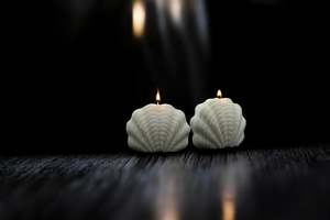 Seashell