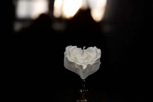 Heart of Roses