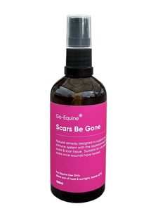 Products: Scars Be Gone – Go Equine