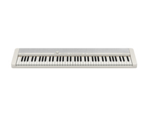 Keyboards: CT-S1-76WE