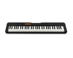 Keyboards: CT-S100