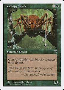 Anthologies: Canopy Spider [Anthologies]
