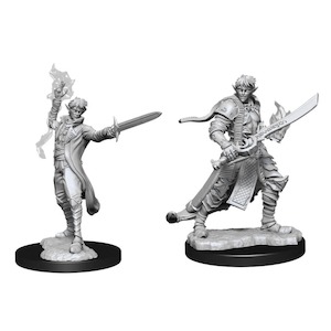 Pathfinder Battles: Deep Cuts Miniatures | Male Elf Magus