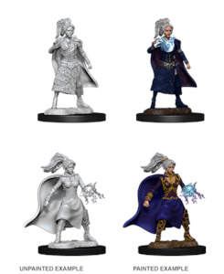 D&D Nolzur's Marvelous Miniatures | Human Sorcerer (Female ((320))