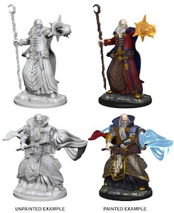 D&D Nolzur's Marvelous Miniatures | Human Wizard (Male ((181))