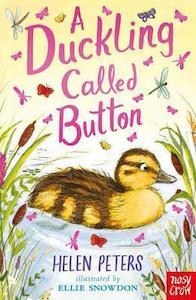 Nosy Crow: A Duckling Called Button