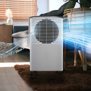 Dehumidifiers: 10L Electronic Dehumidifier