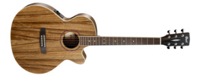 CORT SFX-DAO Acoustic Electric Guitar