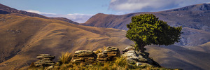 Products: The Tor Panoramic – GoldingArts