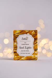 Seed Light 2M Warm Silver Led