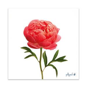 Peony Flower Fine Art Print