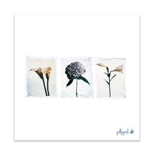 Triple Flower Polaroid Fine Art Print