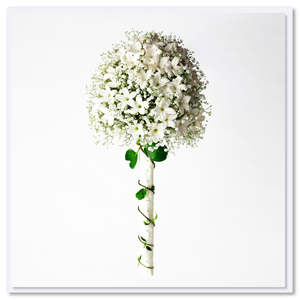 Greeting Cards: Stephanotis and Gypsophila Bouquet Greeting Card