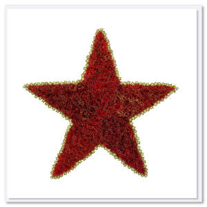 Pohutukawa Star Greeting Card