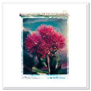 Greeting Cards: Pohutukawa 1 Polaroid Greeting Card