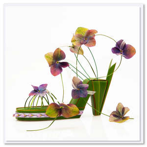 Greeting Cards: Hydrangea Sandal Greeting Card