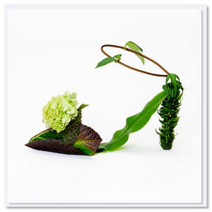 Hydrangea Shoe Greeting Card