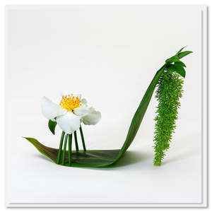 Camellia Stiletto Shoe Greeting Card
