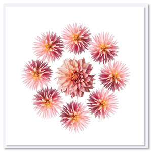Greeting Cards: Pink Dahlia Circle Greeting Card