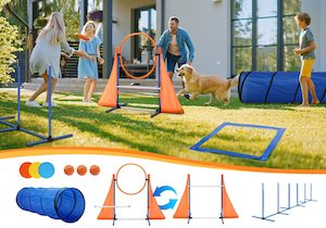 Dog Agility Equipment