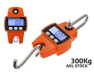 Digital: 300kg Digital Hanging Crane Scale (300KG)