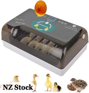 Home Living: Automatic Egg Incubator