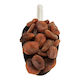 Whole Dried Apricots - Organic