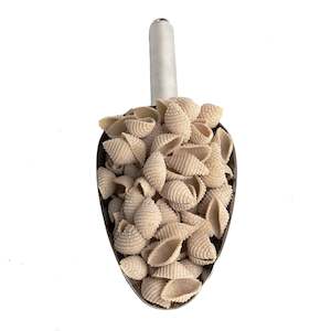 Sourdough Pasta Shells