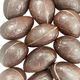 Easter Egg - Hazelnut