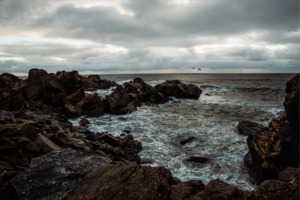 White Gold Wedding Band - 3mm Wide - Rounded - Matte