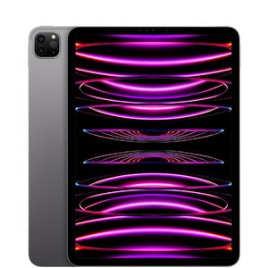 All Product: iPad Pro (4th Gen) / Wi-Fi + Cellular / 512GB / 1 - Like New / Space Grey