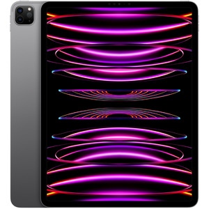 iPad Pro (6th Gen) / Wi-Fi + Cellular / 128GB / 2 - Very Good / Space Grey