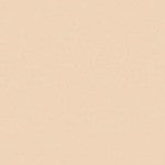 Art Spectrum Colourfix Pastel Primer Australian Grey