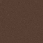 Art Spectrum Colourfix Pastel Primer Burnt Umber