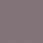 Art Spectrum Colourfix Pastel Primer Elephant