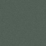 Art Spectrum Colourfix Pastel Primer Dark Leaf Green